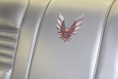 1979 Pontiac Firebird Trans Am 6.6 10th Anniversary Edition