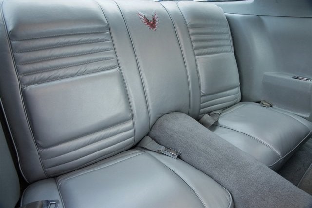 1979 Pontiac Firebird Trans Am 6.6 10th Anniversary Edition