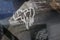 2018 RAM 3500 Limited SEMA Custom
