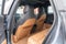 2024 Lucid Air Touring