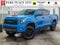 2019 Toyota Tundra 4WD TRD Pro