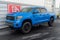 2019 Toyota Tundra 4WD TRD Pro