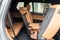2023 BMW X7 M60i