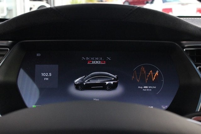 2017 Tesla Model X P100D