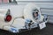 1955 Ford Thunderbird Convertible