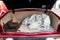 1987 Rolls-Royce Silver Spirit 