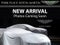 2005 Aston Martin DB9 2dr Cpe Manual