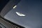 2005 Aston Martin DB9 2dr Cpe Manual