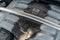 2012 Aston Martin Rapide 4dr Sdn Auto