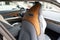 2026 Aston Martin DB12 S Volante Volante