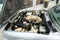1990 BMW 3 Series 325iC