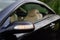 2007 Mercedes-Benz SL550 5.5L V8