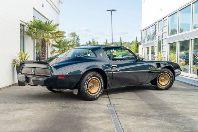 1981 Pontiac Firebird Trans Am