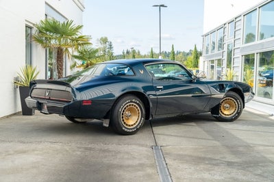 1981 Pontiac Firebird Trans Am