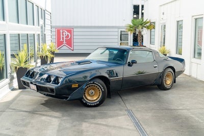 1981 Pontiac Firebird Trans Am