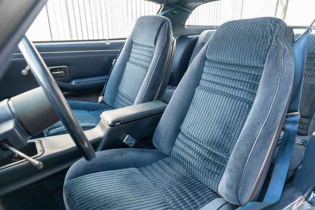 1981 Pontiac Firebird Trans Am