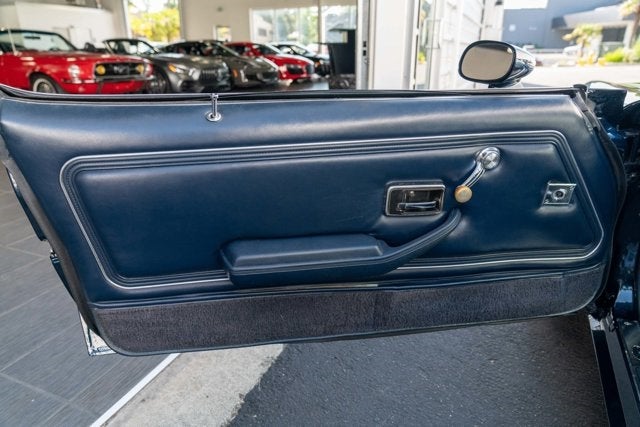 1981 Pontiac Firebird Trans Am