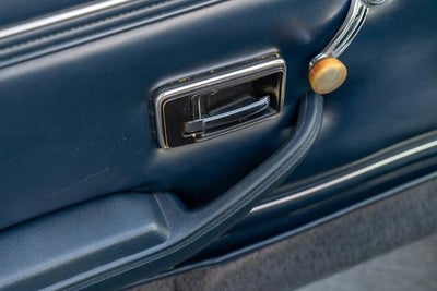 1981 Pontiac Firebird Trans Am