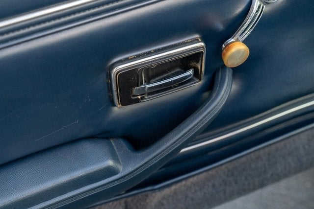 1981 Pontiac Firebird Trans Am