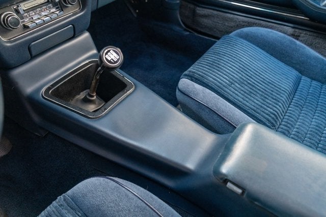 1981 Pontiac Firebird Trans Am