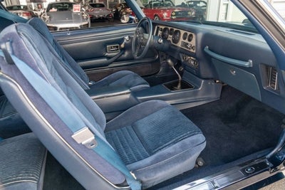 1981 Pontiac Firebird Trans Am