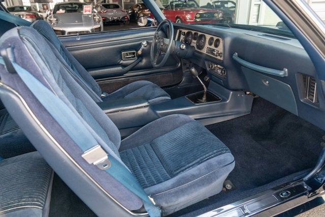 1981 Pontiac Firebird Trans Am