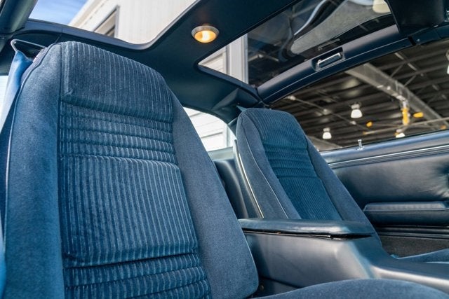 1981 Pontiac Firebird Trans Am