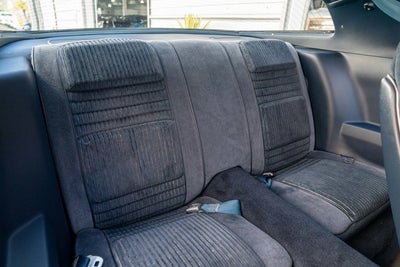 1981 Pontiac Firebird Trans Am