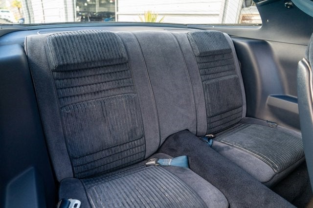 1981 Pontiac Firebird Trans Am