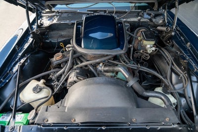 1981 Pontiac Firebird Trans Am