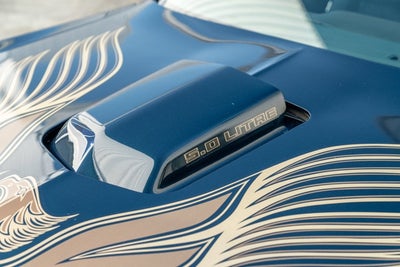 1981 Pontiac Firebird Trans Am