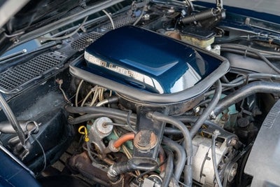 1981 Pontiac Firebird Trans Am