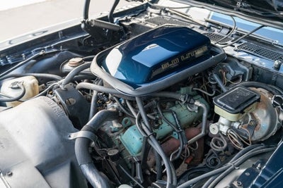 1981 Pontiac Firebird Trans Am