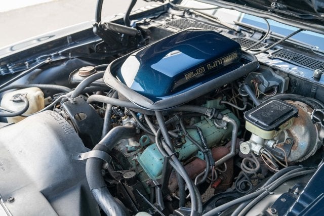 1981 Pontiac Firebird Trans Am