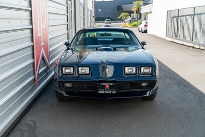 1981 Pontiac Firebird Trans Am