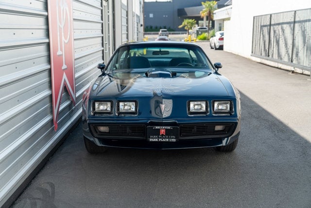 1981 Pontiac Firebird Trans Am