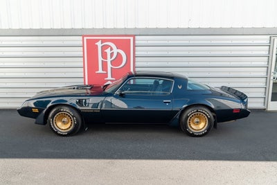 1981 Pontiac Firebird Trans Am