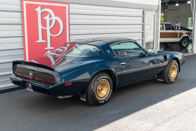 1981 Pontiac Firebird Trans Am