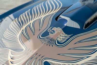 1981 Pontiac Firebird Trans Am