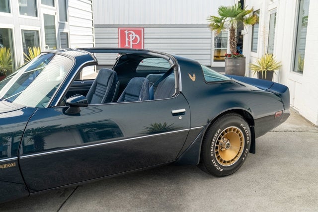 1981 Pontiac Firebird Trans Am