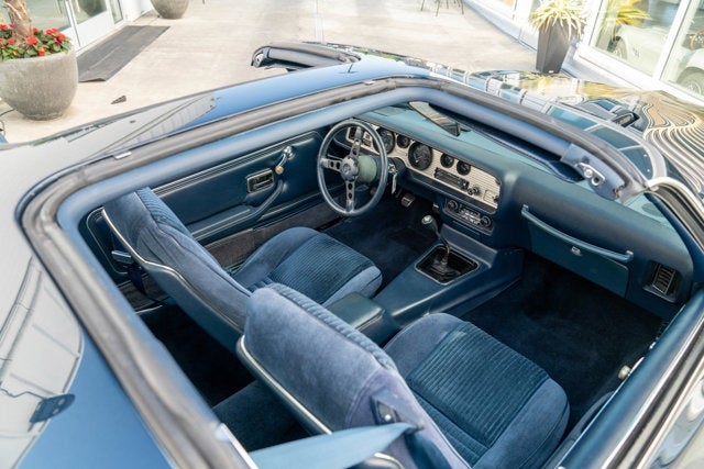 1981 Pontiac Firebird Trans Am