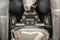 1966 Chevrolet Chevelle Resto-Mod