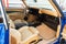 1970 Chevrolet Chevelle Base