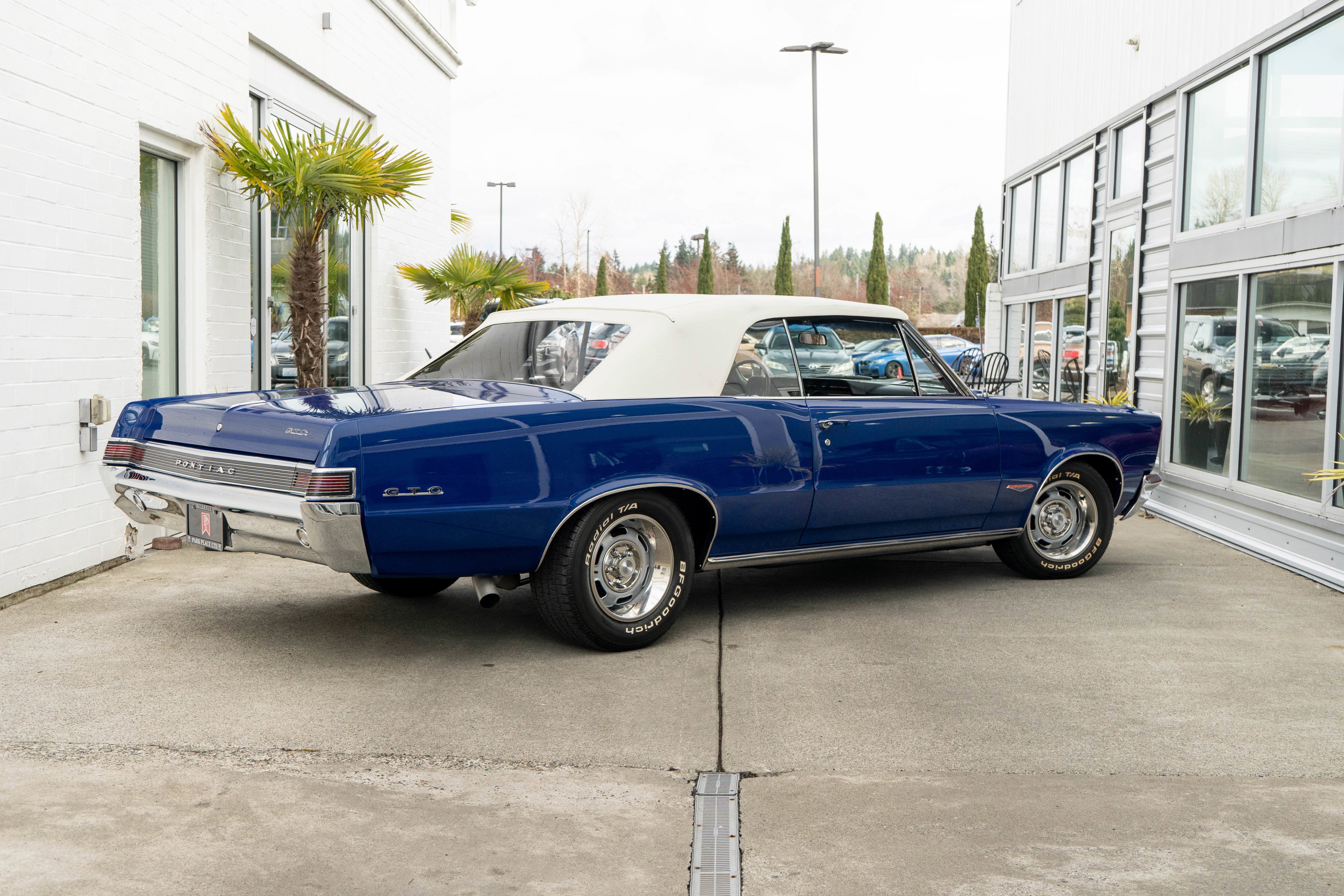 1965 Pontiac LeMans GTO Tribute
