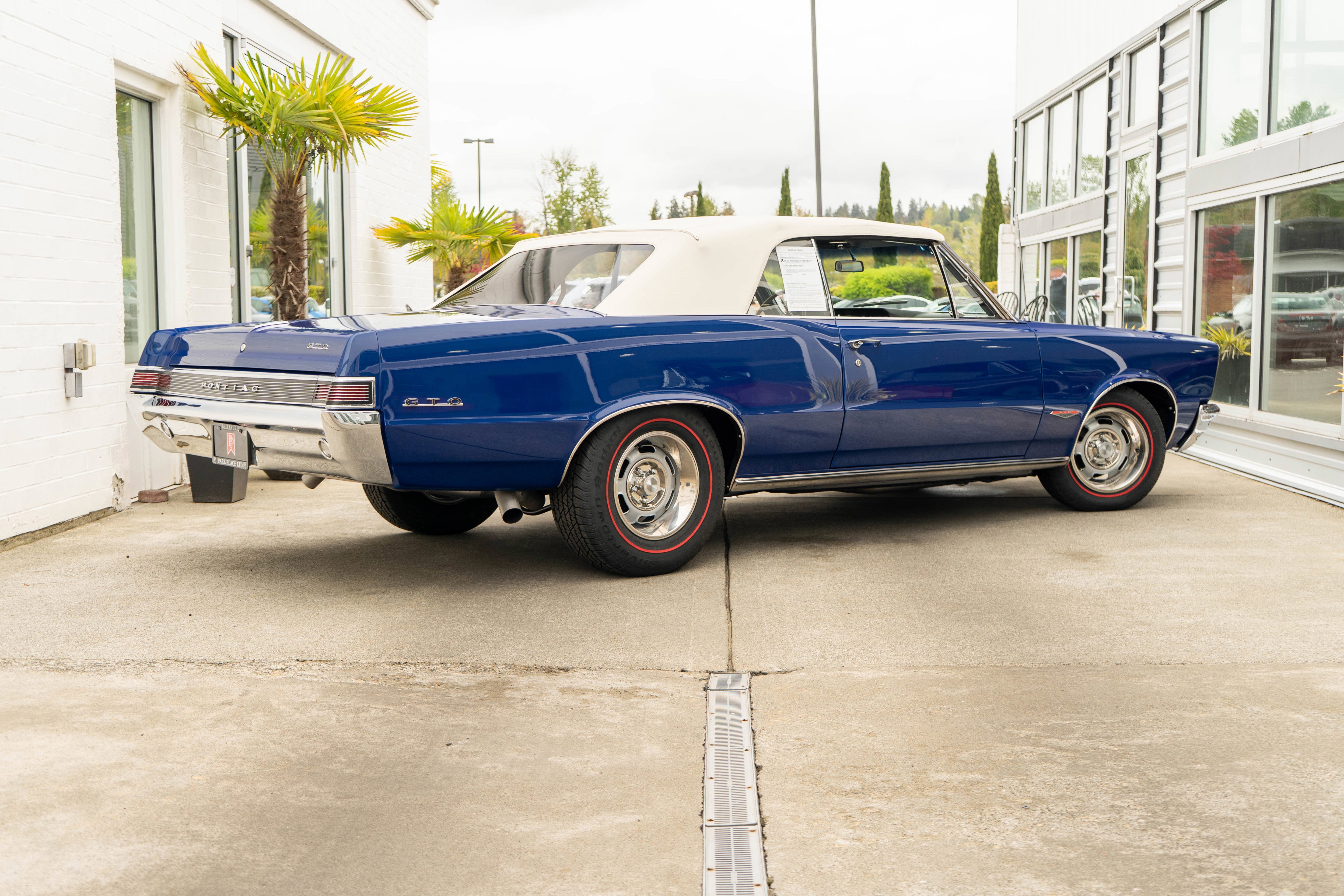 1965 Pontiac LeMans GTO Tribute