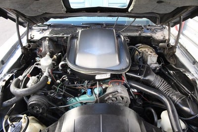 1979 Pontiac Firebird Trans Am