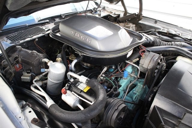 1979 Pontiac Firebird Trans Am