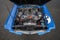 1965 Ford Shelby GT350SR Base