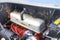 1952 MG TD Roadster