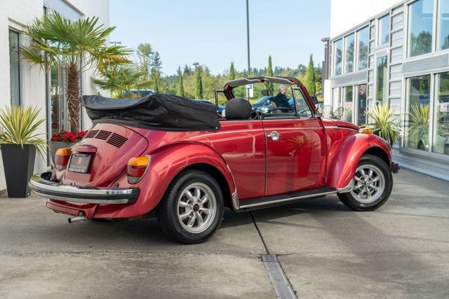 1979 Volkswagen Beetle Convertible Convertible